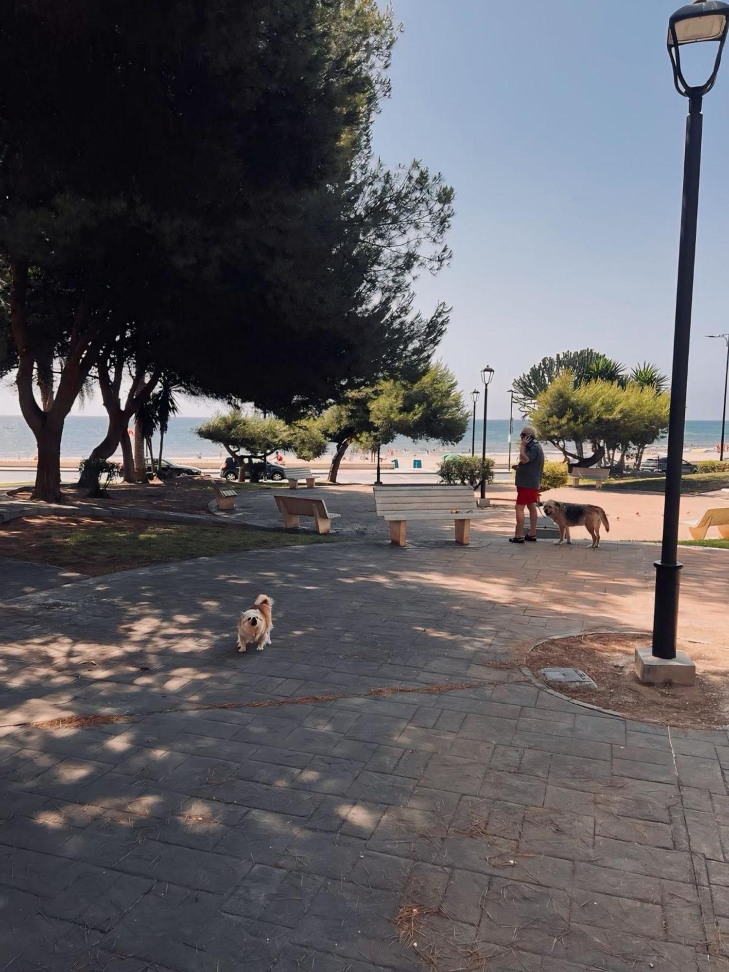 50 Pasos Hacia El Mar Apartment เอลกัมเปโญ ภายนอก รูปภาพ